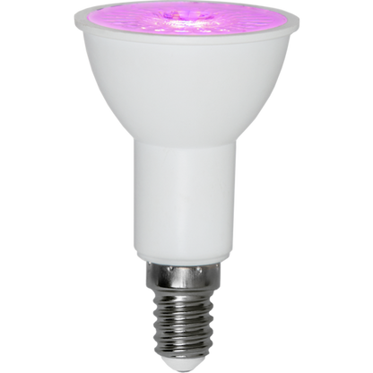 Växtlampa LED E14 par16