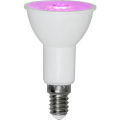 Växtlampa LED E14 par16